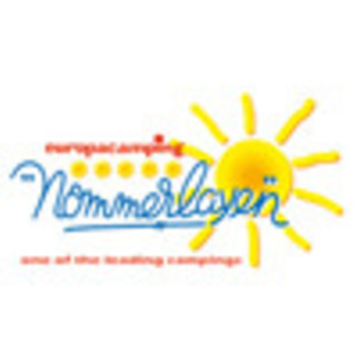 checkliste camping Camping-Checkliste, flacher Farbvektor, informativer Infografik-Vorlag