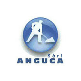 Thumb anguca logo