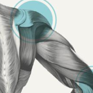 Thumb kinepottier logo